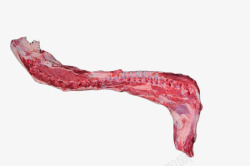 羊腰嵴羊蝎子新鲜美味羊脊骨高清图片