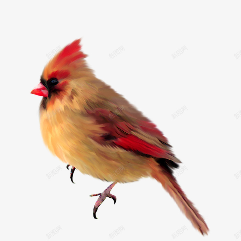 手绘鸟类png免抠素材_新图网 https://ixintu.com 动物 卡通 彩色 手绘鸟类 翅膀 鸟图案