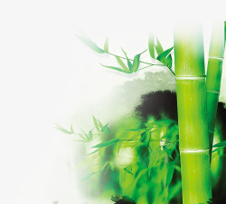 翠绿竹子图层素材