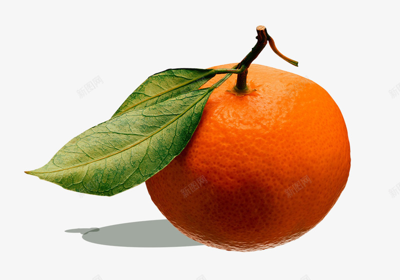 刚摘的新鲜橘子psd免抠素材_新图网 https://ixintu.com 刚摘下的 家庭常备水果 新鲜橘子 水果 绿色叶子点缀