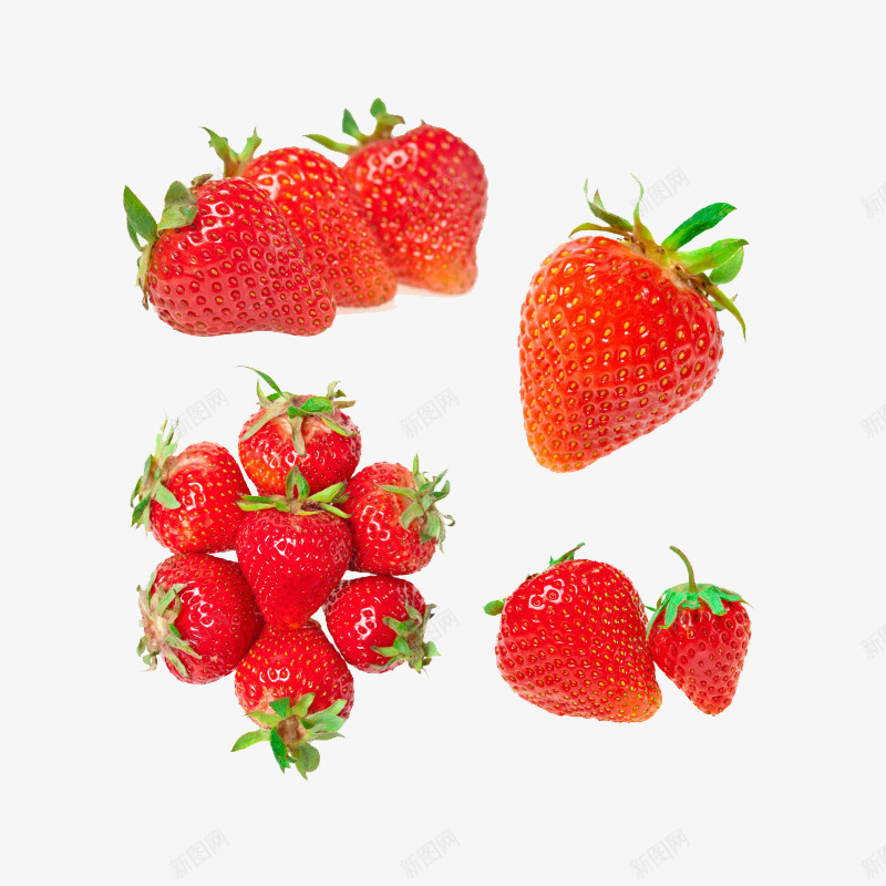新鲜红色草莓合集png免抠素材_新图网 https://ixintu.com 合集 新鲜 红色 草莓