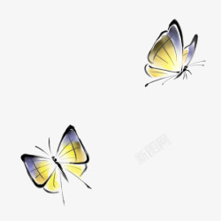 两只黄色的蝴蝶素材