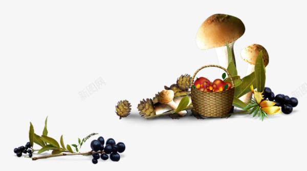 葡萄蘑菇蔬菜png免抠素材_新图网 https://ixintu.com 葡萄 蔬菜 蘑菇