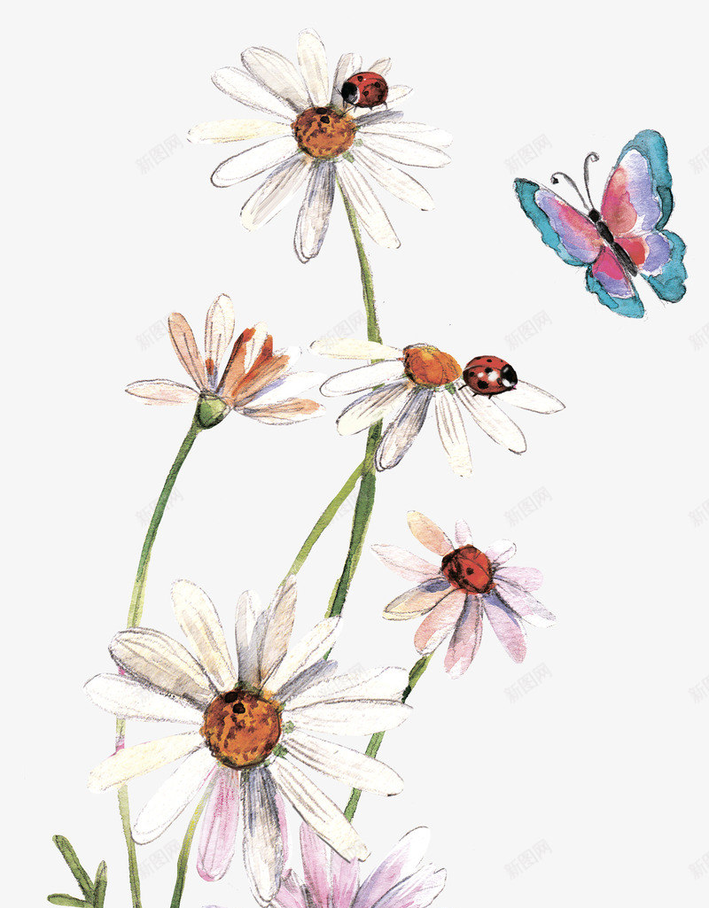 鲜花和蝴蝶png免抠素材_新图网 https://ixintu.com 矢量装饰 翅膀 花朵 蝴蝶 装饰 鲜花