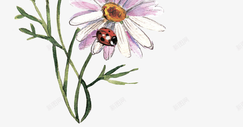 鲜花和蝴蝶png免抠素材_新图网 https://ixintu.com 矢量装饰 翅膀 花朵 蝴蝶 装饰 鲜花