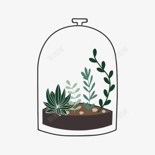玻璃罩中的植物png免抠素材_新图网 https://ixintu.com 手绘 植物元素 玻璃罩 背景装饰