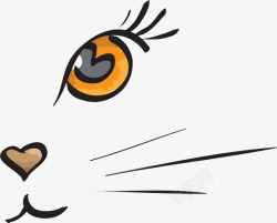 精致个性漂亮猫的鼻子高清图片