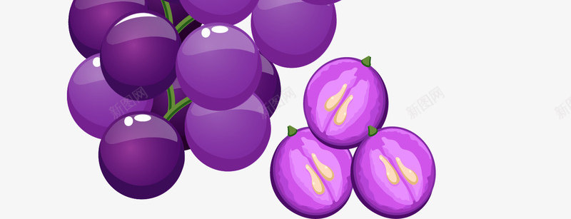新鲜美味的紫色葡萄png免抠素材_新图网 https://ixintu.com 一串葡萄 新鲜的葡萄 矢量png 紫色葡萄 营养的葡萄 葡萄藤