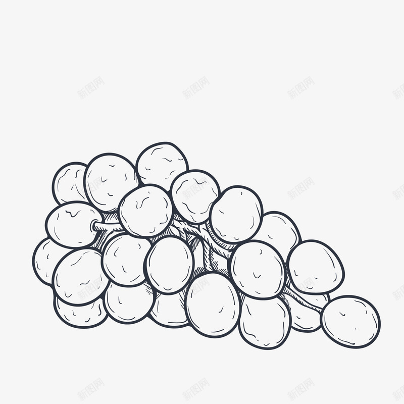 手绘一串葡萄素描图标png_新图网 https://ixintu.com 一串葡萄 手绘葡萄 水果素描 线描葡萄 葡萄 葡萄素描 黑白水果