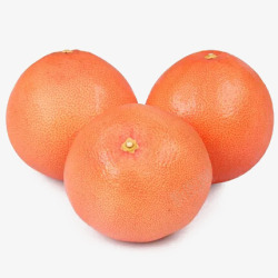 红皮柚子素材