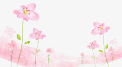 粉色小花粉色的小花高清图片