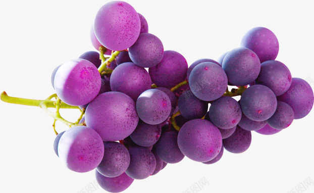 一串紫色葡萄png免抠素材_新图网 https://ixintu.com 一串 素材 紫色 葡萄