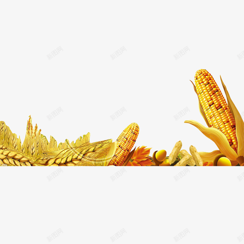 玉米高粱png免抠素材_新图网 https://ixintu.com 玉米 粗粮 食品 高粱