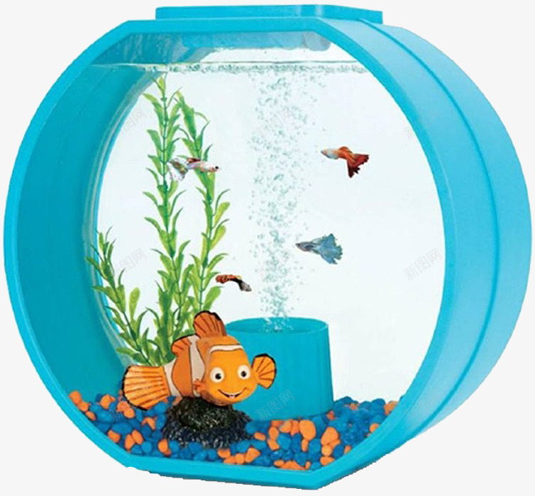养鱼水缸png免抠素材_新图网 https://ixintu.com 养鱼 水缸 水草 透明玻璃 金鱼 鱼缸