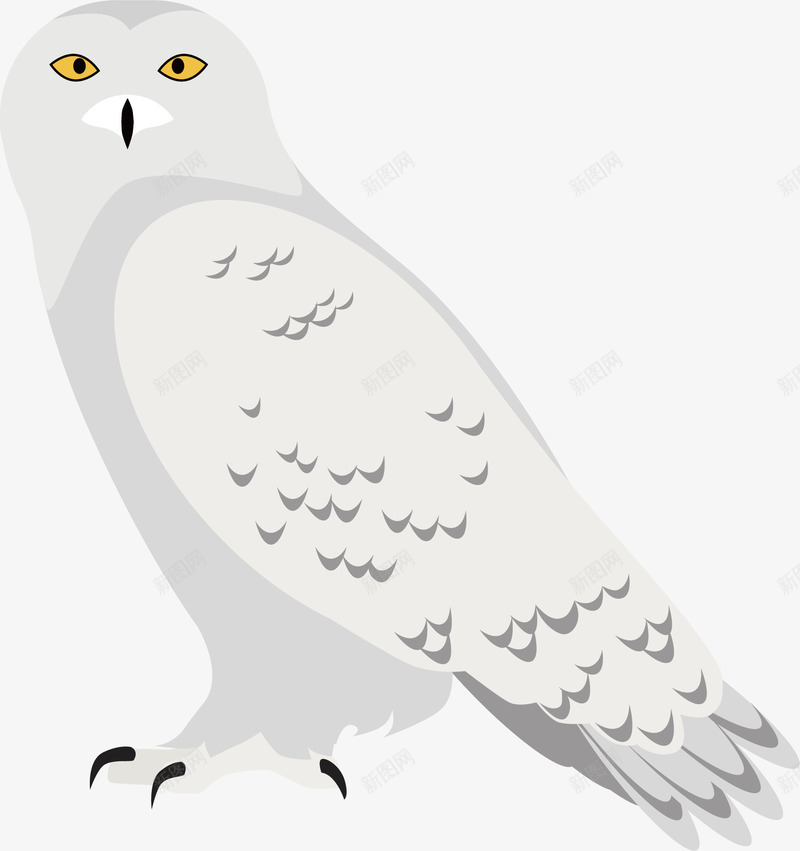 白色老鹰png免抠素材_新图网 https://ixintu.com 动物 卡通 手绘 白色 翅膀 老鹰 鸟类