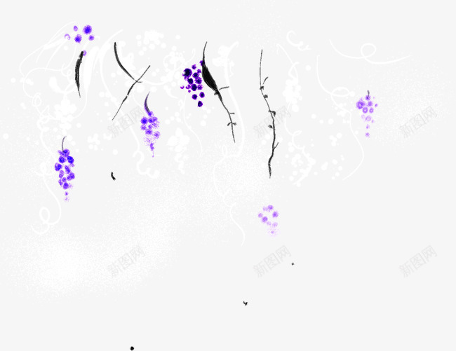 紫色葡萄藤png免抠素材_新图网 https://ixintu.com 紫色 葡萄 葡萄架 葡萄藤