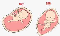 胎宝宝胎儿踢肚子漫画高清图片