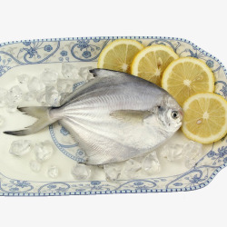 鳊鱼新鲜银鲳鱼高清图片
