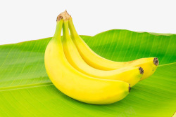 新鲜香蕉和香蕉叶素材