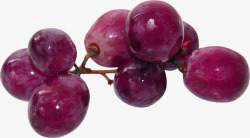 甘甜的葡萄紫色葡萄高清图片