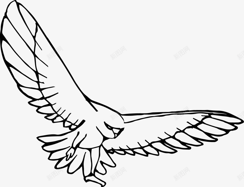 飞翔的鹰图标png_新图网 https://ixintu.com PNG图形 PNG装饰 手绘 翅膀 老鹰 装饰