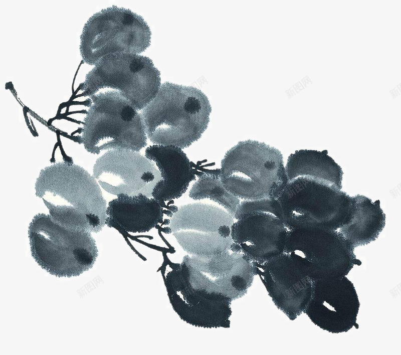 水墨葡萄png免抠素材_新图网 https://ixintu.com 中国画 中国风装饰 写意国画 国画 国粹 大写意 宣纸国画 画