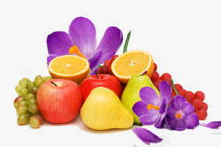 水果和花素材