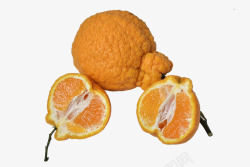 半个橘子不知火摄影高清图片