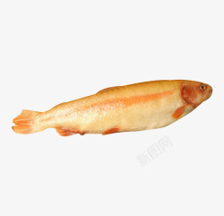 鳟鱼金鳟鱼食用鱼素材