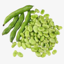 绿色蚕豆素材