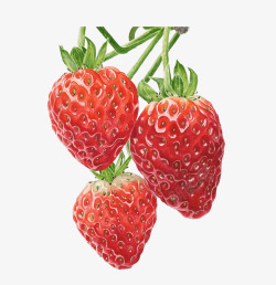草莓印花新鲜草莓高清图片
