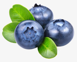 莓子新鲜蓝莓高清图片