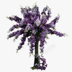 紫色爆炸树素材