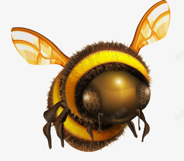 手绘蜜蜂png免抠素材_新图网 https://ixintu.com 卡通 手绘 眼睛 翅膀 蜜蜂