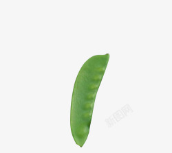 麻鹊一颗绿色新鲜的扁豆高清图片