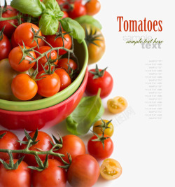 新鲜小番茄新鲜的小番茄高清图片