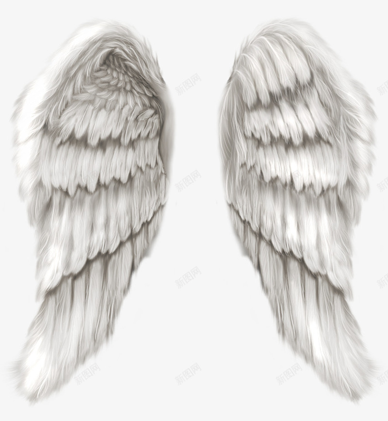 创意手绘合成白色的翅膀造型png免抠素材_新图网 https://ixintu.com 创意 合成 白色 翅膀 造型