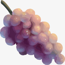 手绘一串葡萄素材