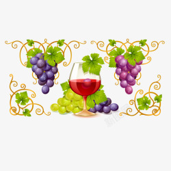 青葡萄藤葡萄与葡萄酒矢量图高清图片