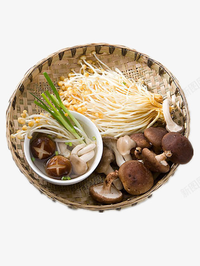 新鲜菌类png免抠素材_新图网 https://ixintu.com 美食 蘑菇 金针菇 食物