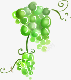手绘绿色葡萄儿童海报素材
