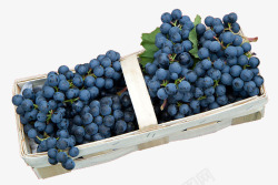 水果酿造篮子里面的葡萄高清图片