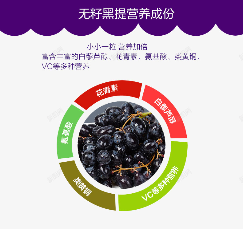 夏黑葡萄介绍说明png免抠素材_新图网 https://ixintu.com 介绍说明 夏黑 水果 葡萄