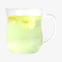 玻璃杯中的菊花茶茶杯中的贡菊高清图片