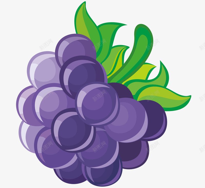 一串紫色的大葡萄矢量图ai免抠素材_新图网 https://ixintu.com 卡通图案 卡通提子 卡通食物 水果蔬菜 矢量图 紫色的食物 绿色的叶子 葡萄