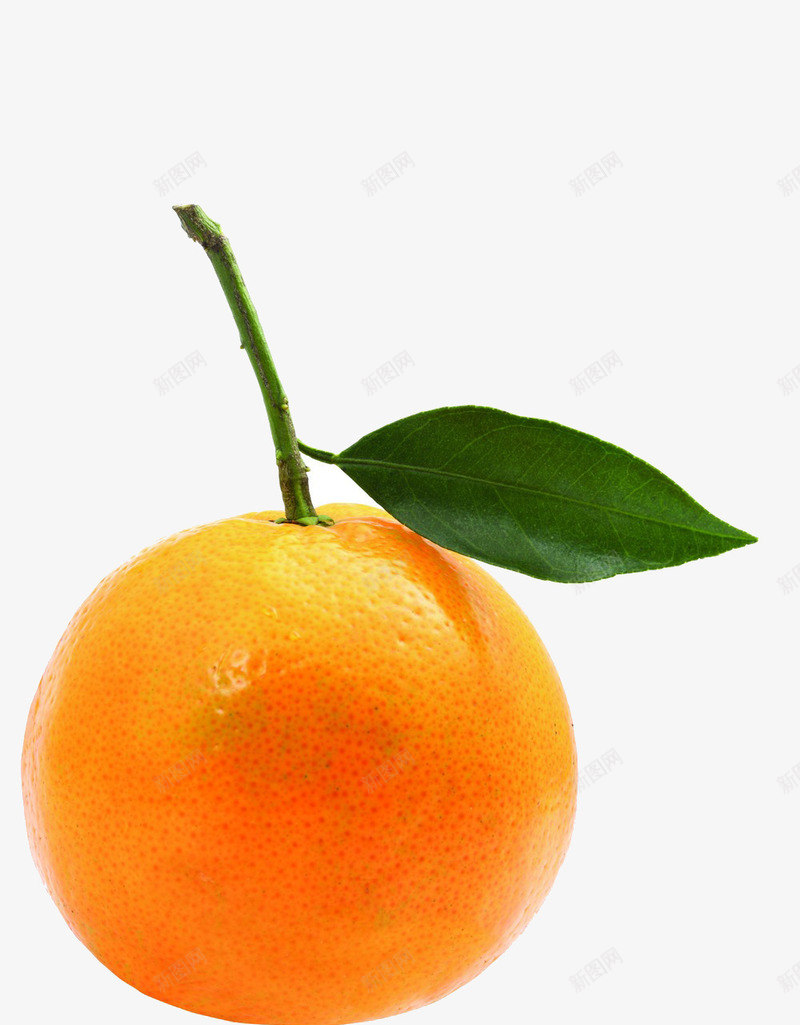 新鲜美味png免抠素材_新图网 https://ixintu.com 叶子 橙子 橙子叶 橙色 营养