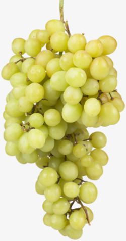 甘甜的葡萄绿葡萄高清图片