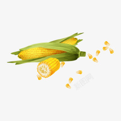 玉米掰开的玉米玉米粒素材