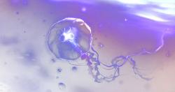 紫色章鱼水母高清图片