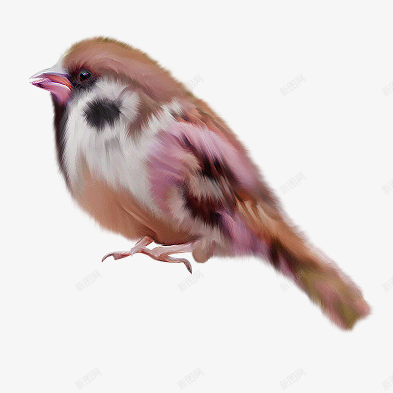 手绘鸟类png免抠素材_新图网 https://ixintu.com 动物 卡通 彩色 手绘鸟类 翅膀 鸟图案